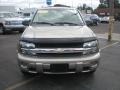 Light Pewter Metallic - TrailBlazer LS 4x4 Photo No. 6