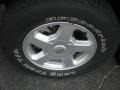 Light Pewter Metallic - TrailBlazer LS 4x4 Photo No. 14