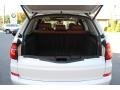 Alpine White - X5 xDrive 35i Photo No. 21
