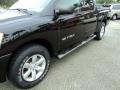 Galaxy Black - Titan SE Crew Cab Photo No. 12