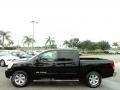 Galaxy Black - Titan SE Crew Cab Photo No. 13