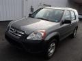 2005 Silver Moss Metallic Honda CR-V LX 4WD  photo #2