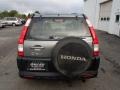 2005 Silver Moss Metallic Honda CR-V LX 4WD  photo #5