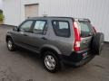 2005 Silver Moss Metallic Honda CR-V LX 4WD  photo #6