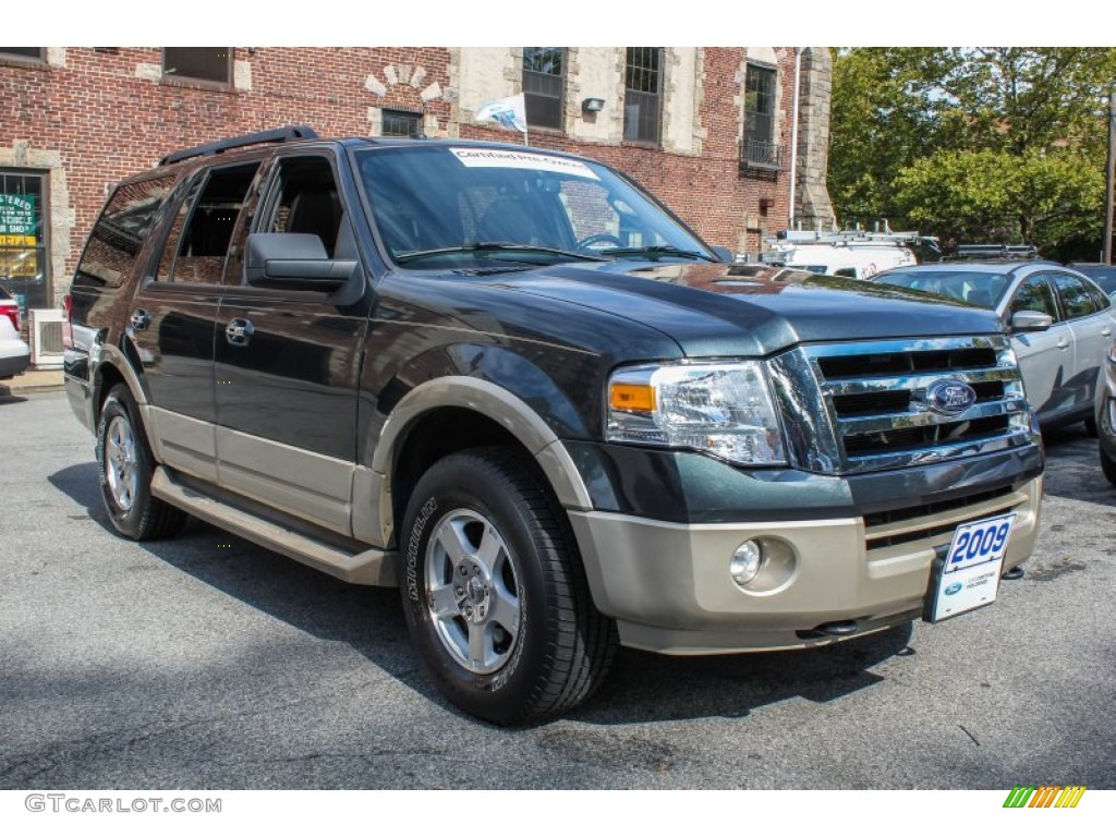 2009 Expedition Eddie Bauer 4x4 - Black Pearl Slate Metallic / Charcoal Black Leather/Camel photo #7