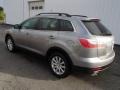 2010 Liquid Silver Metallic Mazda CX-9 Touring AWD  photo #8