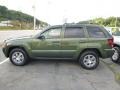 2008 Jeep Green Metallic Jeep Grand Cherokee Laredo 4x4  photo #2