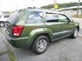 2008 Jeep Green Metallic Jeep Grand Cherokee Laredo 4x4  photo #4