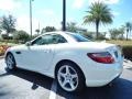 2013 Arctic White Mercedes-Benz SLK 250 Roadster  photo #5