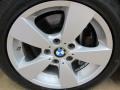 Titanium Silver Metallic - 5 Series 530xi Sedan Photo No. 13
