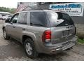 Graystone Metallic - TrailBlazer LS 4x4 Photo No. 4