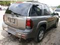 Graystone Metallic - TrailBlazer LS 4x4 Photo No. 7