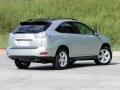 2004 Bamboo Pearl Lexus RX 330  photo #3