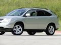 2004 Bamboo Pearl Lexus RX 330  photo #35