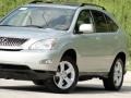 2004 Bamboo Pearl Lexus RX 330  photo #38