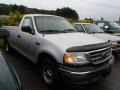 2002 Silver Metallic Ford F150 XL Regular Cab  photo #3