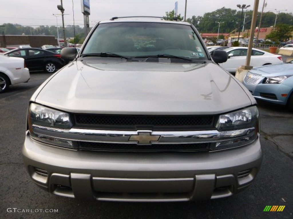 2002 TrailBlazer LS 4x4 - Light Pewter Metallic / Light Pewter photo #6