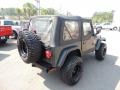 2005 Moss Green Pearlcoat Jeep Wrangler X 4x4  photo #9