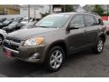 Pyrite Metallic - RAV4 Limited V6 4WD Photo No. 3