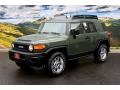 2011 Army Green Toyota FJ Cruiser 4WD  photo #5