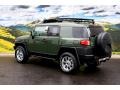 2011 Army Green Toyota FJ Cruiser 4WD  photo #7