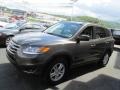 Cabo Bronze - Santa Fe GLS AWD Photo No. 5