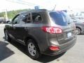 Cabo Bronze - Santa Fe GLS AWD Photo No. 6