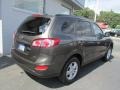 Cabo Bronze - Santa Fe GLS AWD Photo No. 8