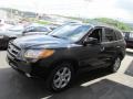 Ebony Black - Santa Fe Limited 4WD Photo No. 6