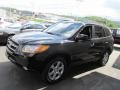 2009 Ebony Black Hyundai Santa Fe Limited 4WD  photo #6