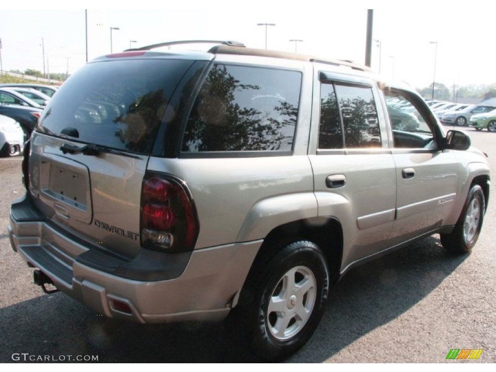 2002 TrailBlazer LS 4x4 - Light Pewter Metallic / Light Pewter photo #6