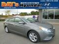 Harbor Gray Metallic - Sonata Limited Photo No. 1