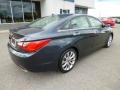 2013 Pacific Blue Pearl Hyundai Sonata SE  photo #7