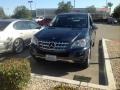 Steel Grey Metallic - ML 350 Photo No. 1