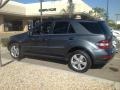 Steel Grey Metallic - ML 350 Photo No. 4