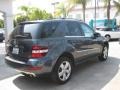 Steel Grey Metallic - ML 350 Photo No. 2