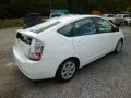 Super White - Prius Hybrid Photo No. 5