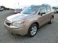 Burnished Bronze Metallic - Forester 2.5i Touring Photo No. 3