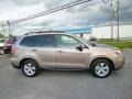 Burnished Bronze Metallic - Forester 2.5i Touring Photo No. 7