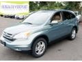 2010 Opal Sage Metallic Honda CR-V EX-L AWD  photo #1