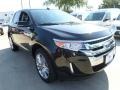 2013 Tuxedo Black Metallic Ford Edge Limited  photo #7