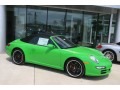 2008 Green Paint to Sample Porsche 911 Carrera S Cabriolet  photo #16