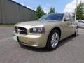White Gold Pearl 2010 Dodge Charger R/T