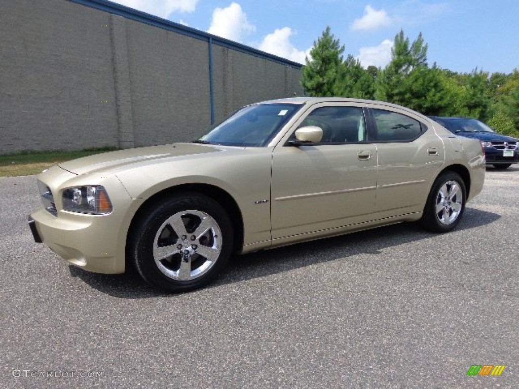 2010 Charger R/T - White Gold Pearl / Dark Slate Gray photo #11