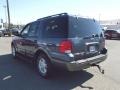 Medium Wedgewood Blue Metallic - Expedition XLT 4x4 Photo No. 4