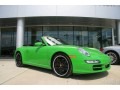 2008 Green Paint to Sample Porsche 911 Carrera S Cabriolet  photo #42
