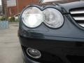 Black - SL 550 Roadster Photo No. 23