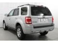 2008 Silver Metallic Ford Escape Limited  photo #10