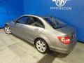 Palladium Silver Metallic - C 300 Luxury 4Matic Photo No. 16