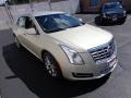 Silver Coast Metallic - XTS Luxury FWD Photo No. 3